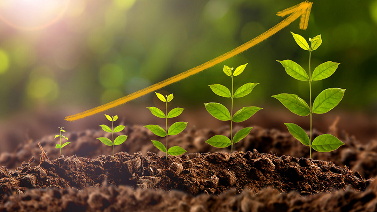 Kommuninvest har den här veckan gett ut den hittills största gröna obligationen som emitterats i svenska kronor. Totalt 5 miljarder kronor lånades upp från både svenska och utländska investerare.